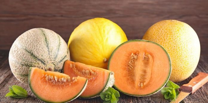 Comment Choisir Un Melon Parfait Astuces Conna Tre Halal